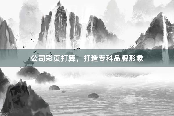 公司彩页打算，打造专科品牌形象