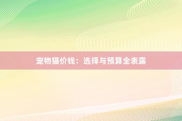 宠物猫价钱：选择与预算全表露