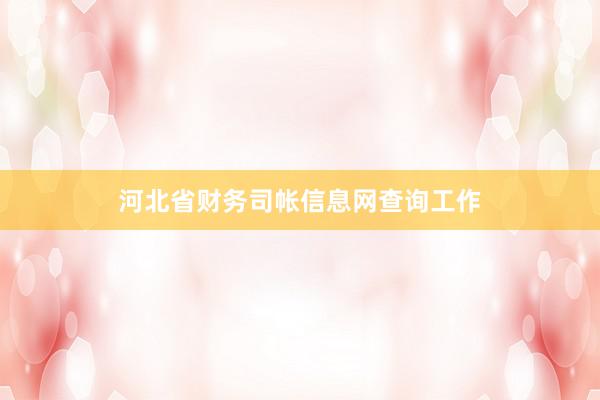 河北省财务司帐信息网查询工作