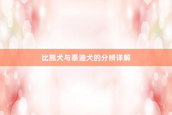 比熊犬与泰迪犬的分辨详解